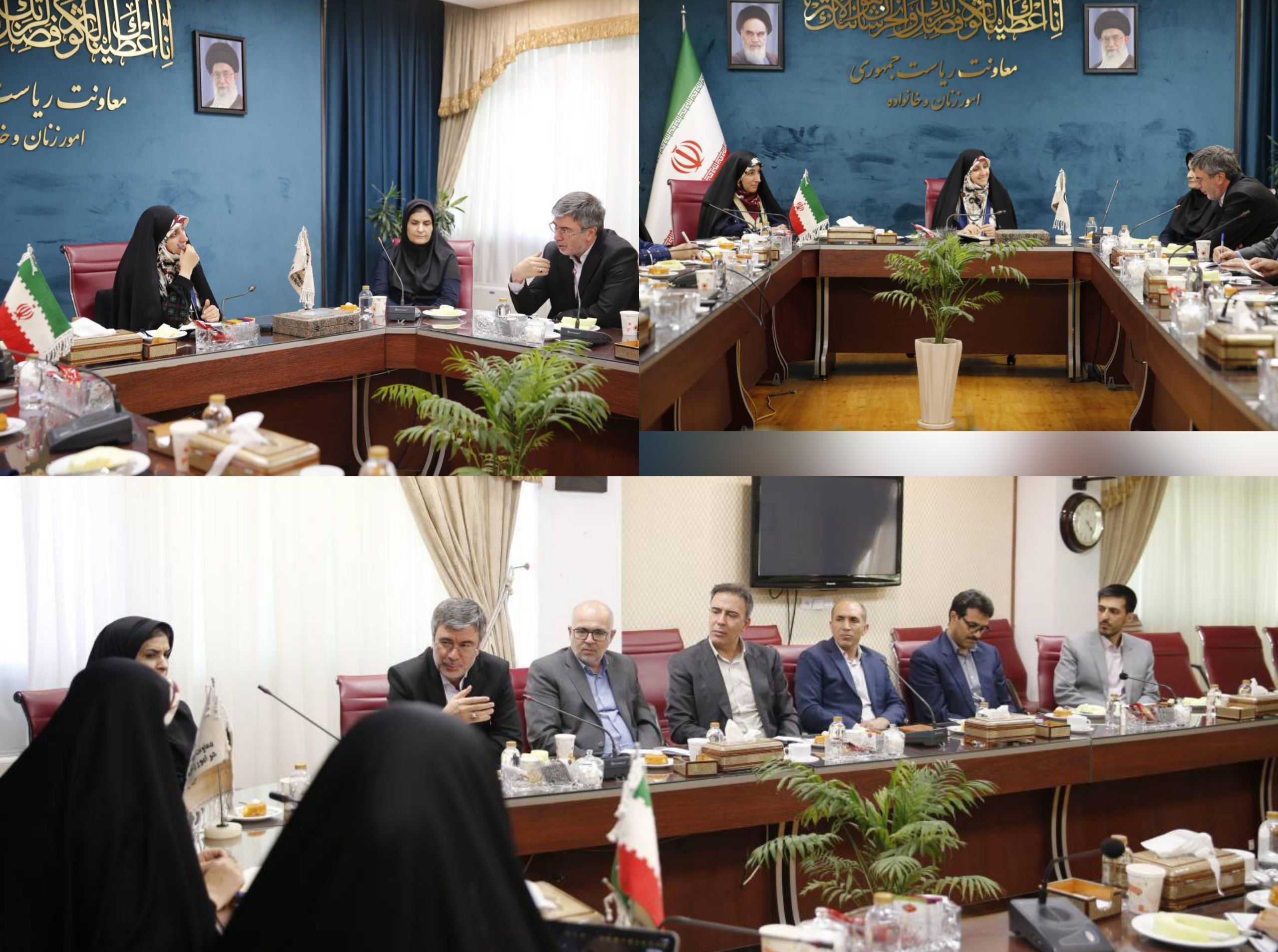 در نشست مشترک مدیرعامل بیمه ایران و معاون امور زنان و خانواده رئیس جمهور مطرح شد؛